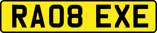 RA08EXE