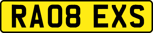 RA08EXS
