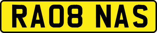 RA08NAS