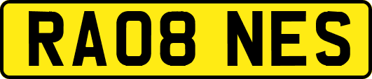 RA08NES