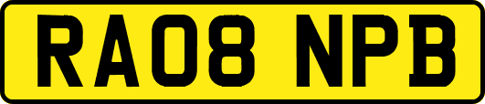 RA08NPB