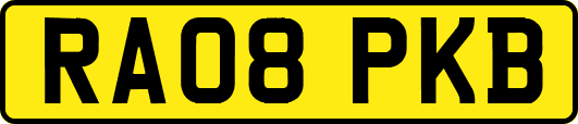 RA08PKB