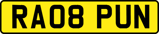 RA08PUN