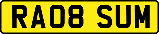 RA08SUM