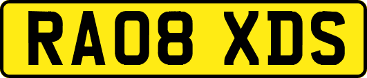 RA08XDS