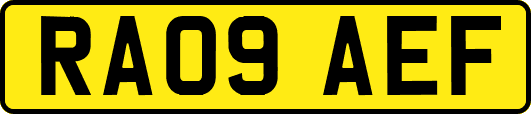 RA09AEF
