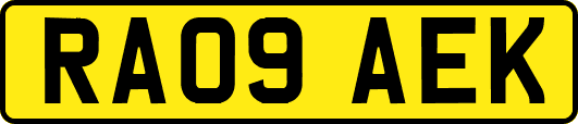RA09AEK