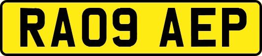 RA09AEP