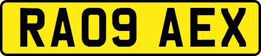 RA09AEX