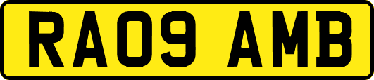 RA09AMB