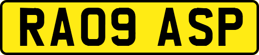 RA09ASP