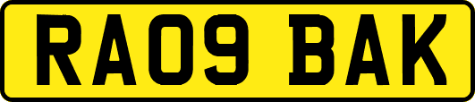 RA09BAK