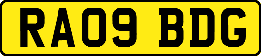RA09BDG
