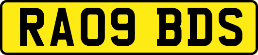 RA09BDS