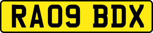 RA09BDX