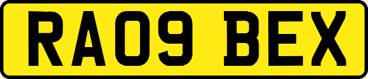RA09BEX