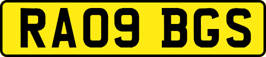 RA09BGS