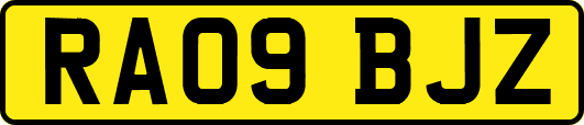 RA09BJZ