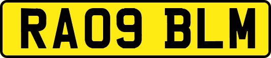 RA09BLM