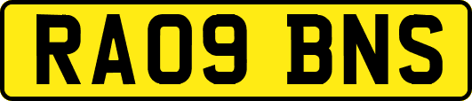 RA09BNS