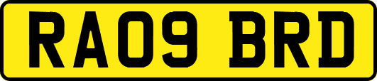 RA09BRD