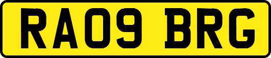 RA09BRG