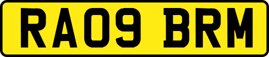 RA09BRM