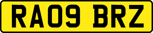 RA09BRZ