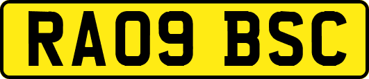 RA09BSC