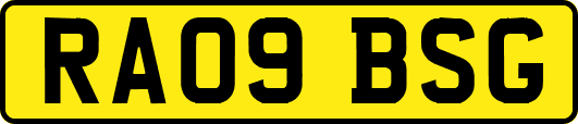 RA09BSG