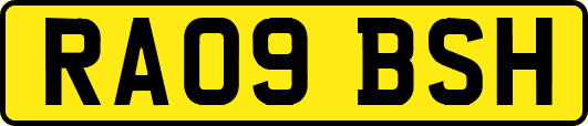 RA09BSH