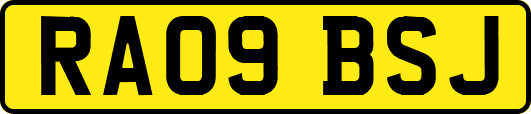 RA09BSJ