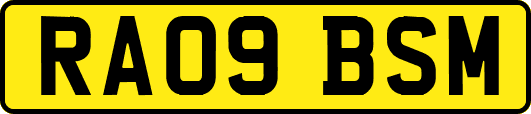RA09BSM