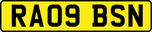 RA09BSN