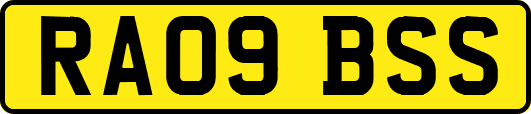 RA09BSS