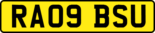 RA09BSU