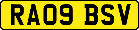 RA09BSV