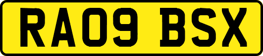 RA09BSX
