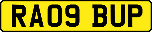 RA09BUP