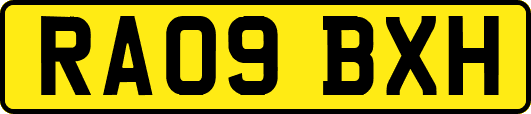 RA09BXH