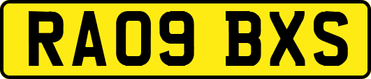 RA09BXS