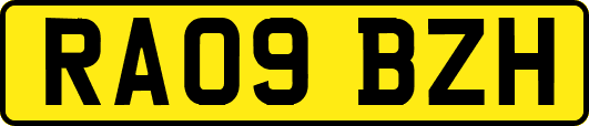 RA09BZH