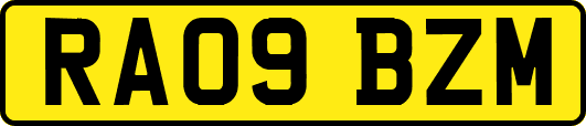 RA09BZM