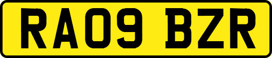 RA09BZR