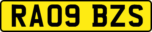 RA09BZS