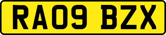 RA09BZX
