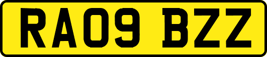 RA09BZZ