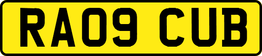 RA09CUB