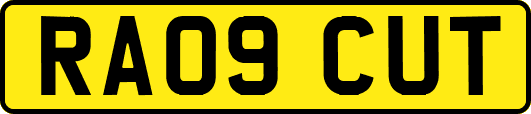 RA09CUT