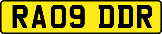 RA09DDR